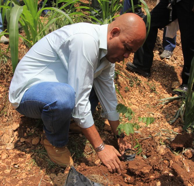 Michel Martelly annonce la mise en terre de 2 millions de plantules d’ici septembre