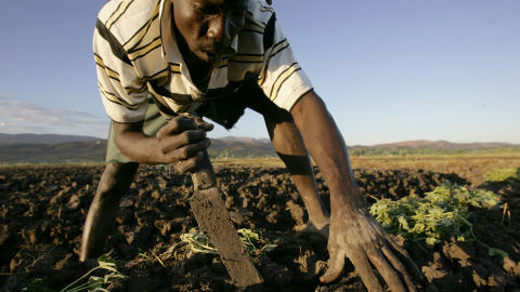 Haïti – Agriculture : Atelier-débats sur le Crédit agricole