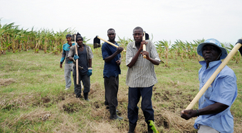 L’ANAPAAAH contribue largement dans la relance agricole en Haïti