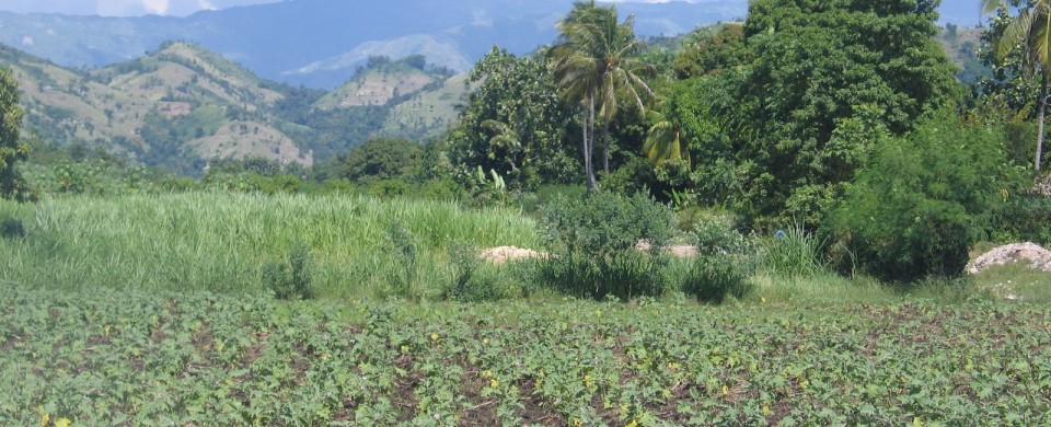 Le Comité Interministériel de l’Aménagement du Territoire (CIAT) lance le projet de sécurité foncière en milieu rural