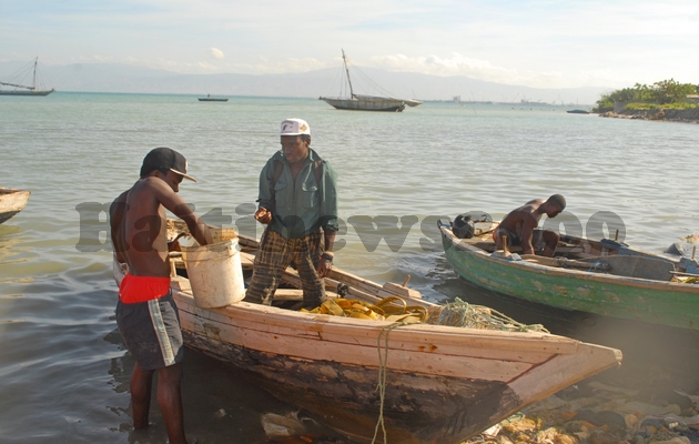 Pêche maritime en Haïti, des actions prometteuses sont posées pour le bien du secteur