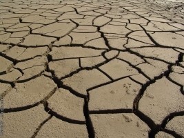 Haïti – Agriculture : La sécheresse au pays soulève des inquiétudes