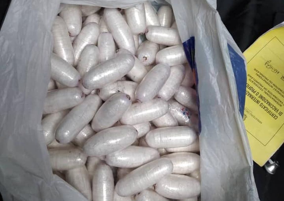 6 Nigérians arrêtés et 1,76 kg de cocaïne saisi par la PNH