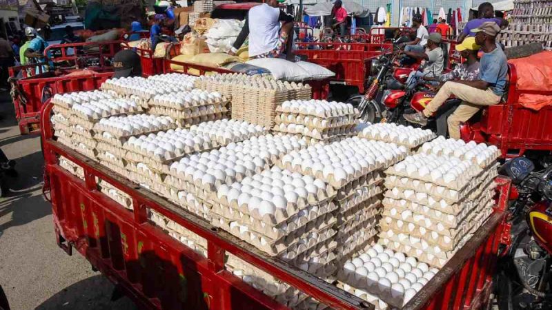 Les commerçants d’œufs dominicains craignent la faillite…