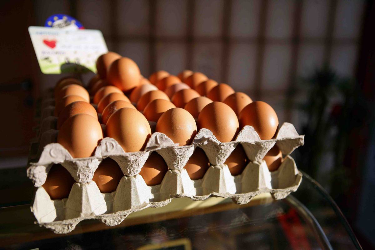 Les autorités dominicaines ont interdit toute exportation d’œufs vers Haïti