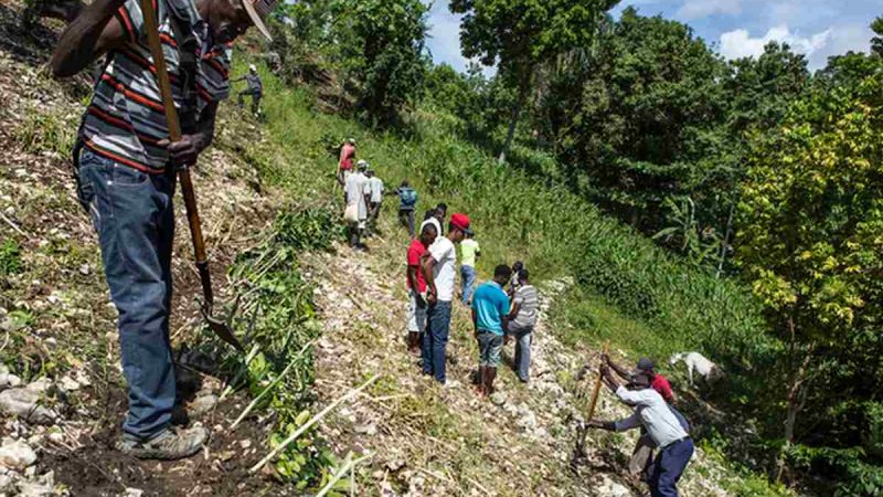 Haïti face à l’insécurité alimentaire et le stress hydrique