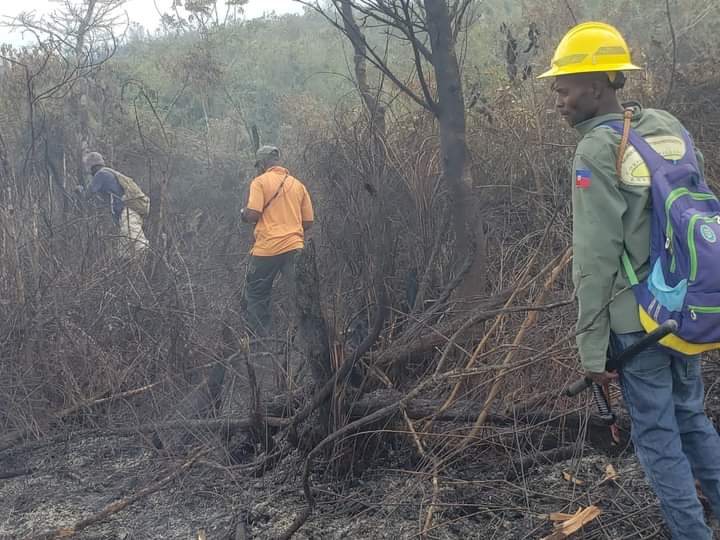 Incendie au Parc Macaya: La PROMODEV réagi