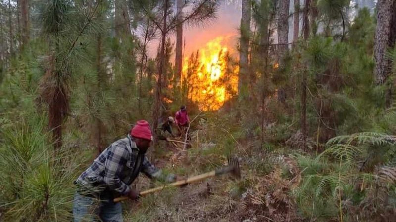 Pic Macaya en feu : l’Etat d’urgence est nécessaire…