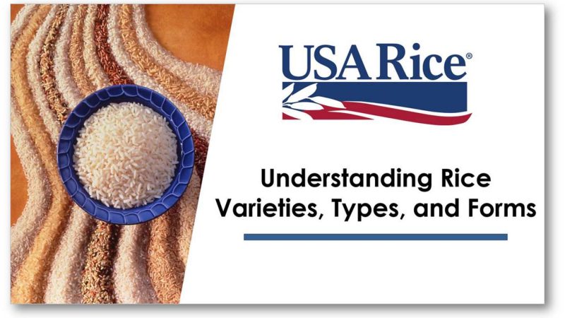 Controverse sur la qualité du riz importé des USA vers Haïti : la Fédération USA Rice réagit